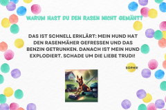 Bunt Verspielt Konfetti Karneval Party Flyer (Einladung im Querformat) - 16