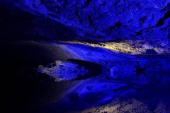 IMG_3884