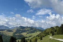 IMG_3920