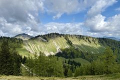 IMG_3926