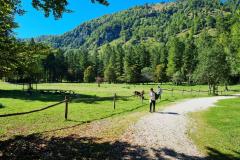 1A und 1B im Waldpark Grünau
